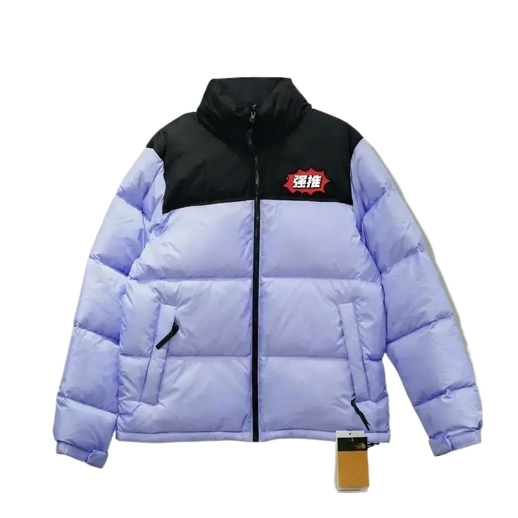 The North Face Color - Blocking Trendy and Cool Down Jacket