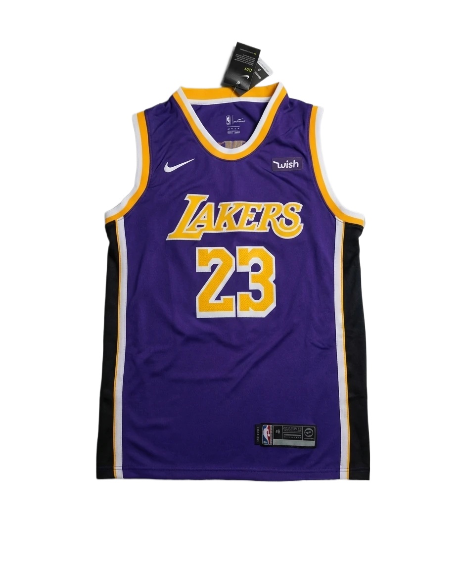 LBJ Lakers retro purple jersey