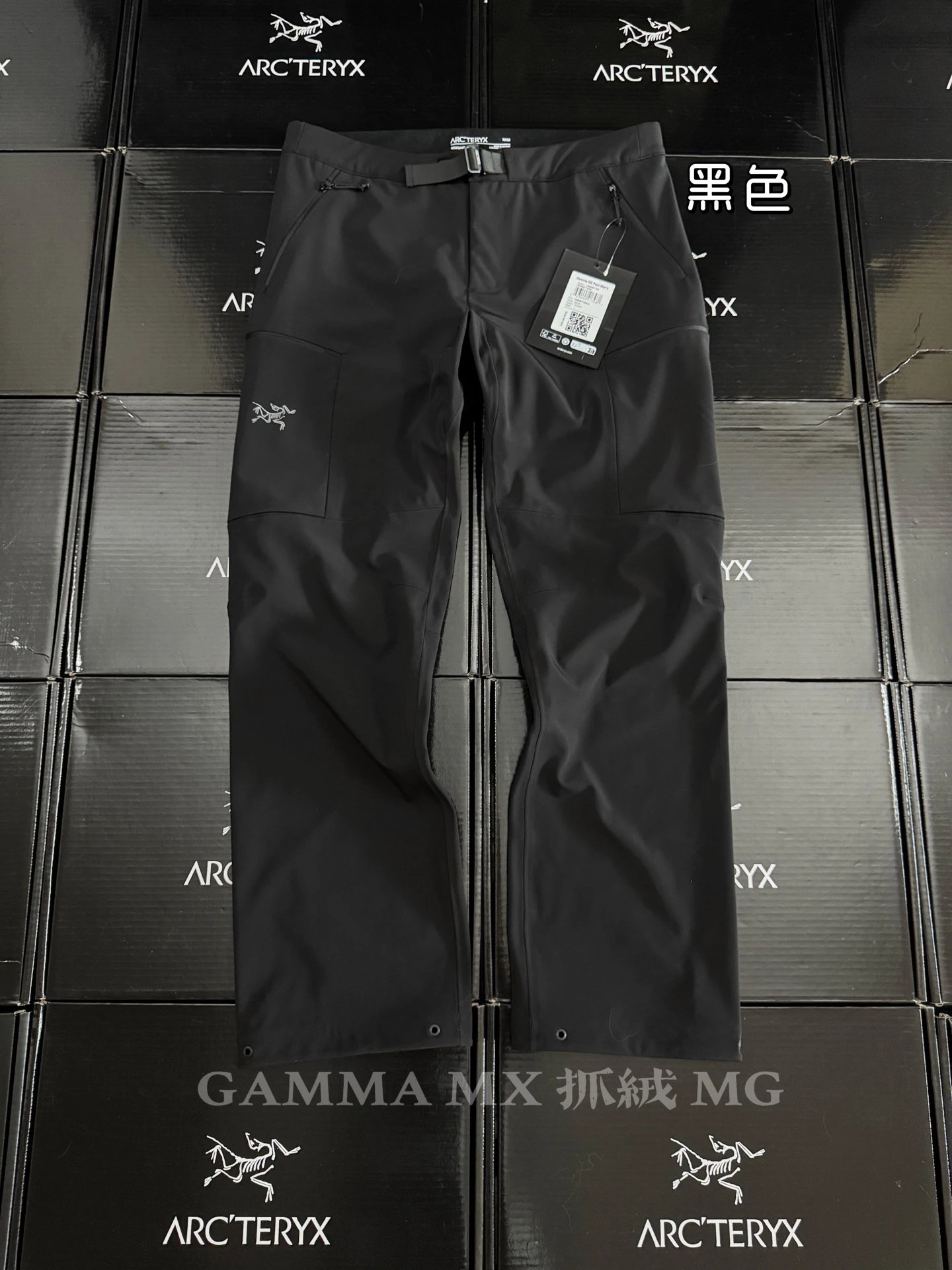 Arc'teryx Black Streetwear Technical Hiking Pants
