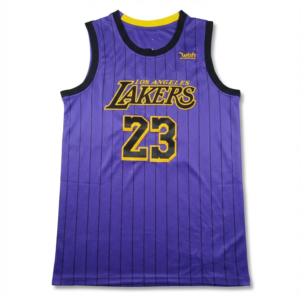 LBJ Lakers retro purple jersey