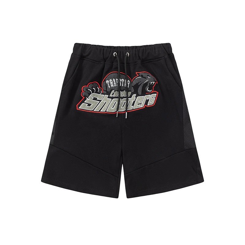 Toronto Raptors Casual Team graphic T-shirt Black Toronto Raptors for Streetwear Looks