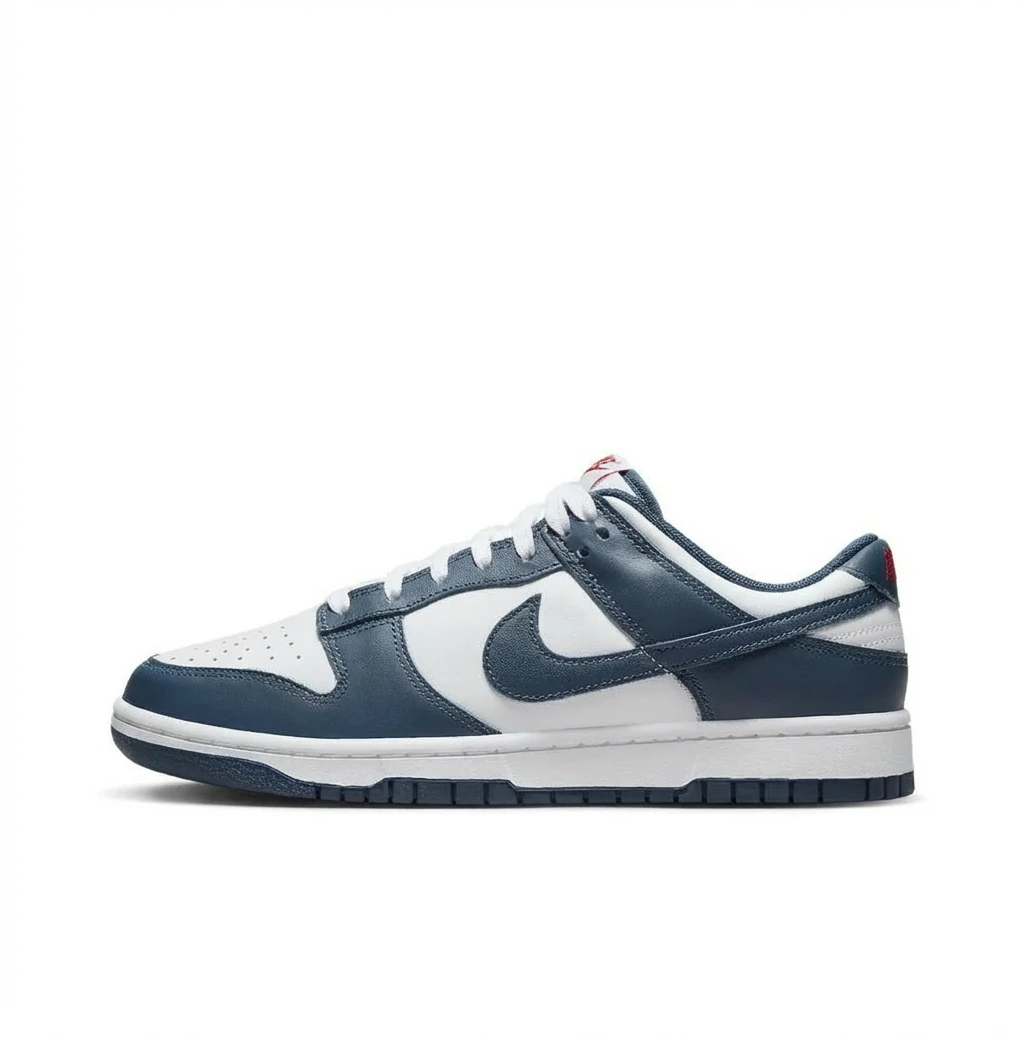 Nike Dunk Retro Style Blue and White Shoes