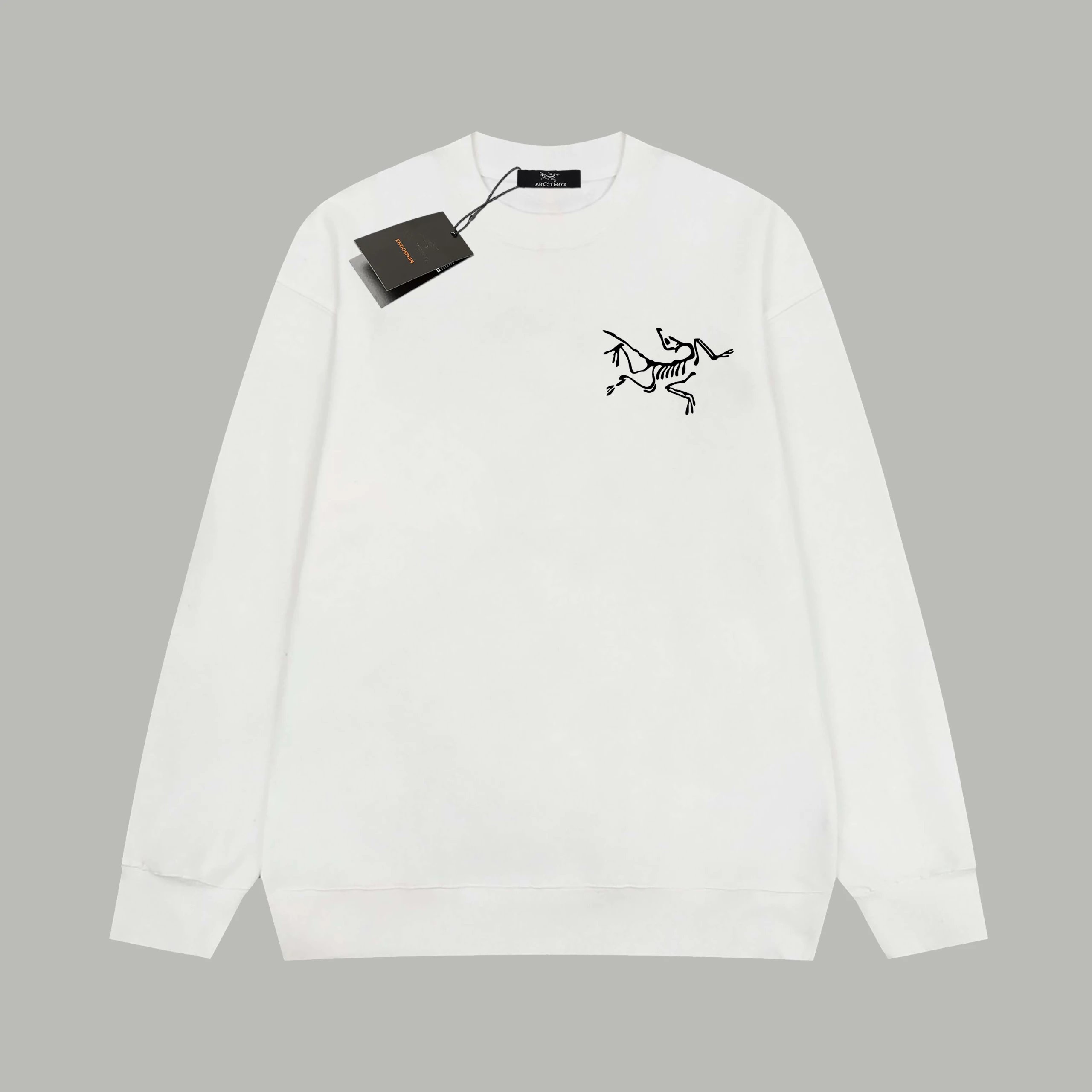 Photo Ready Arc'teryx Sweatshirt Layering Piece