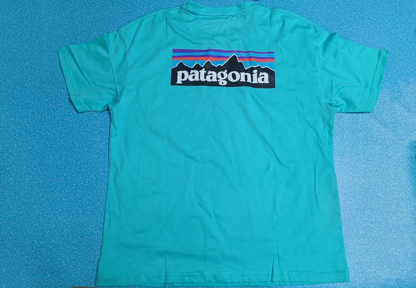 Patagonia Blue Logo T-Shirt Training Look Graphic